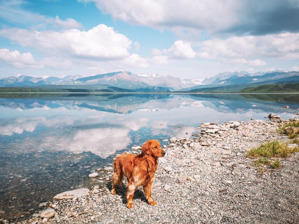 itinerario Alaska