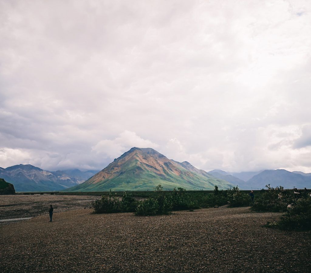 que hacer en Denali