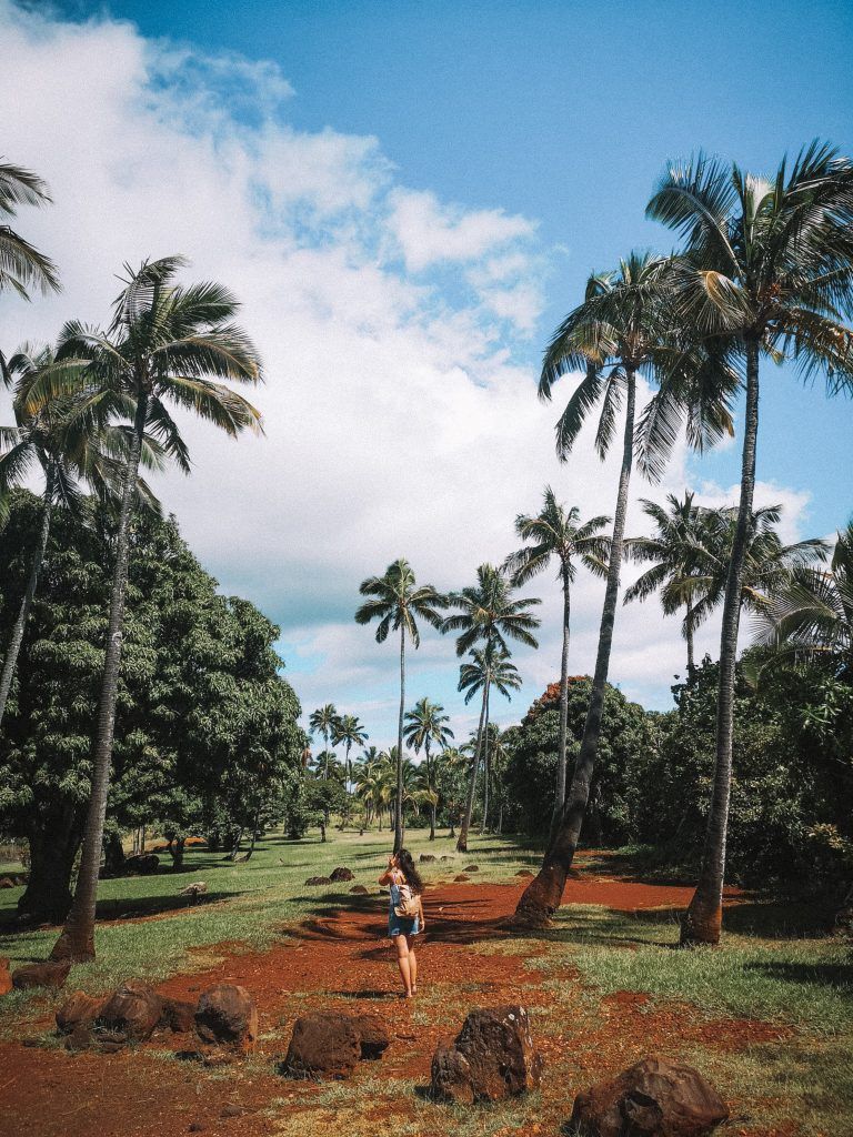 qué ver en Kauai