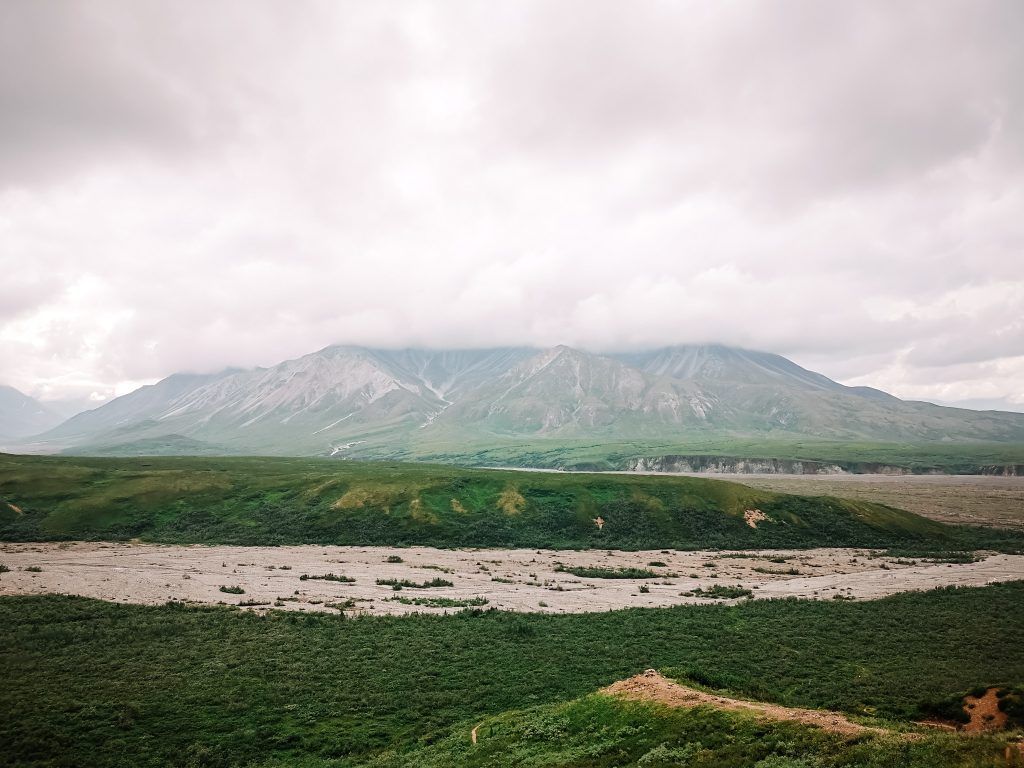 que hacer en Denali
