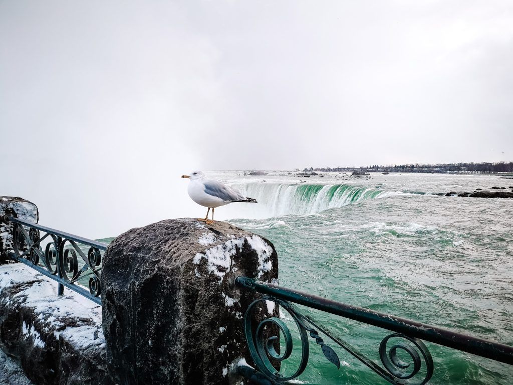 hacer en toronto