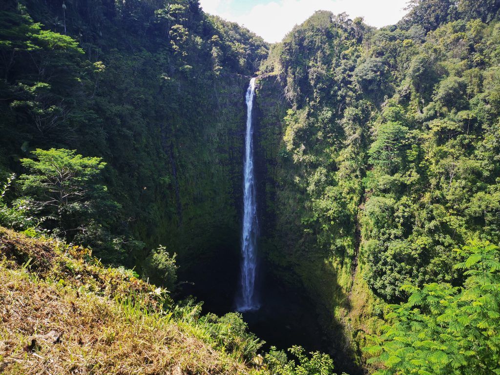 Qué hacer en Big island