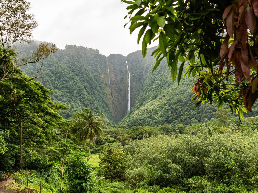 Qué hacer en Big island
